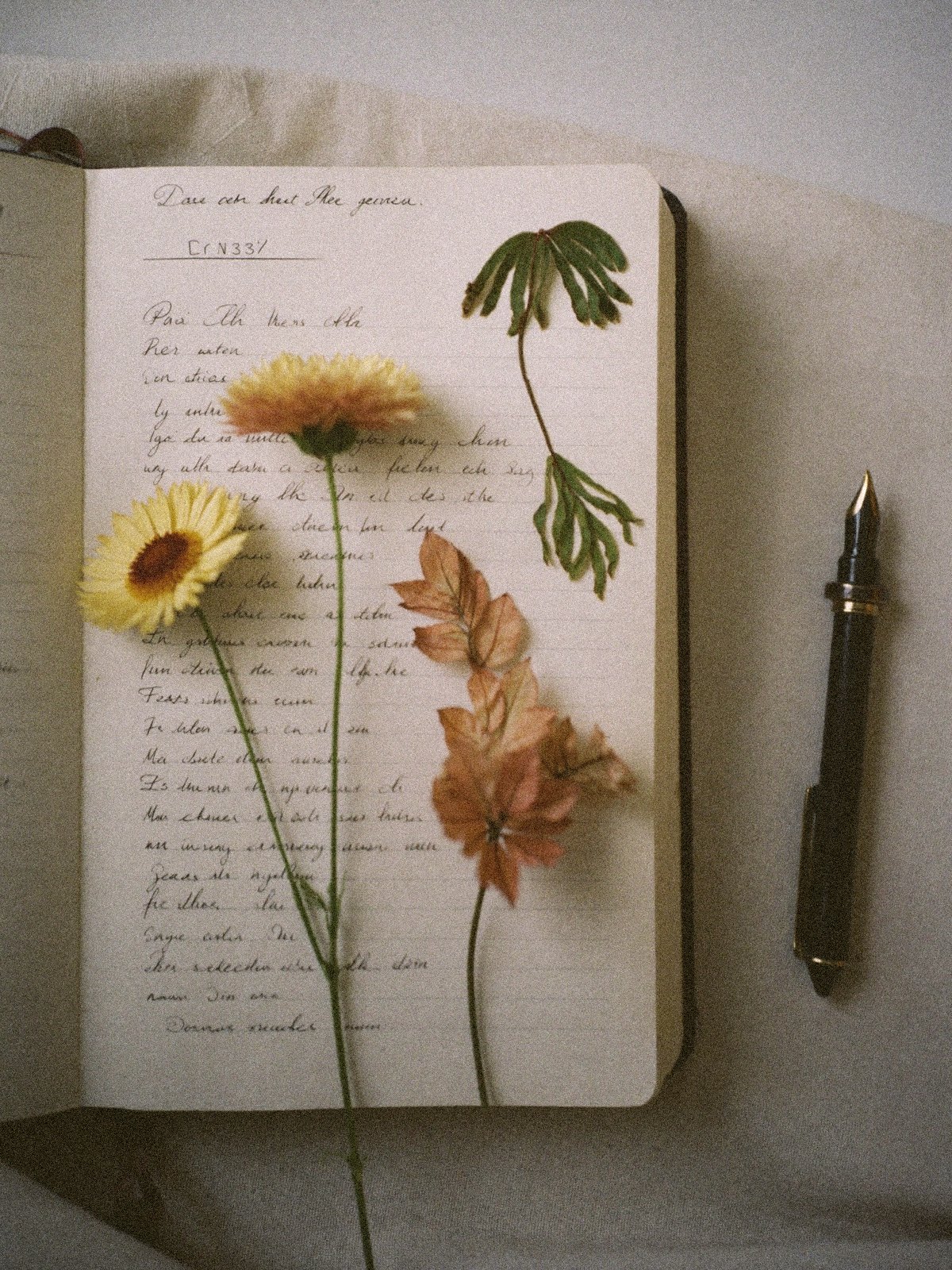 Open handwritten journal with pressed flowers and a fountain pen on linen